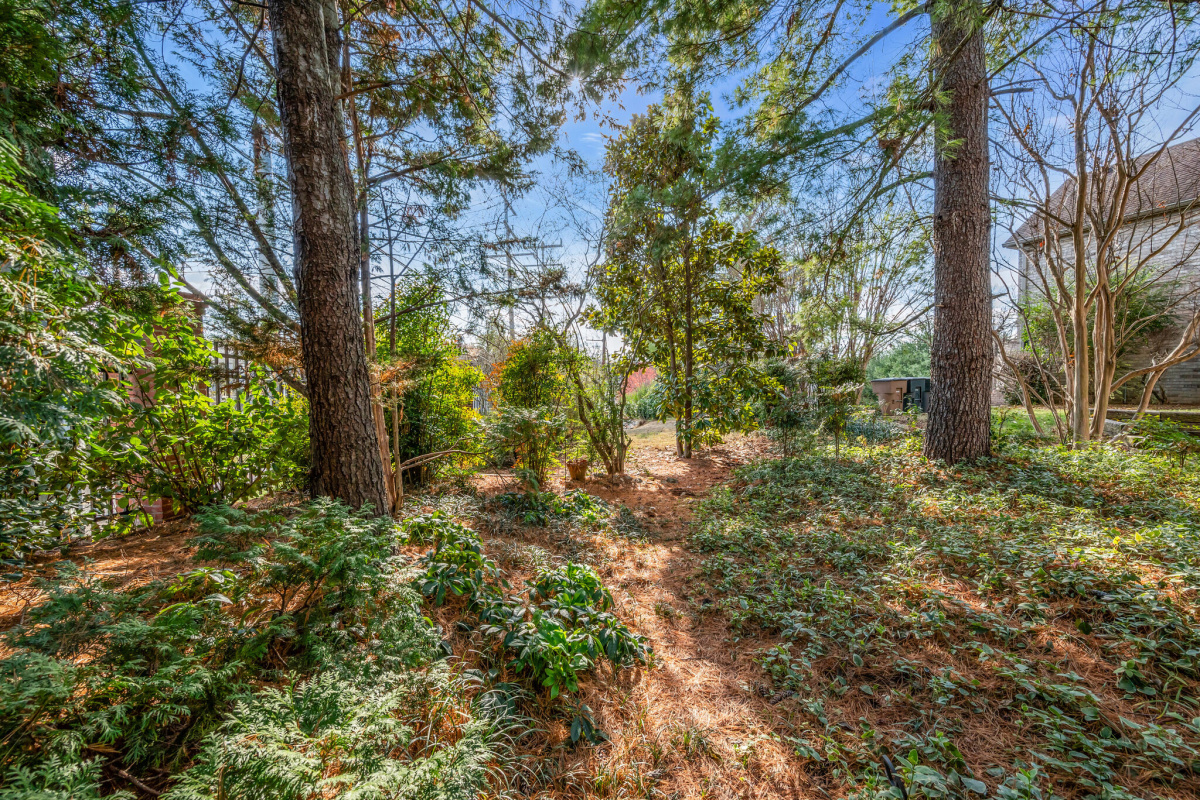 79 Wyn Oak, Tennessee 37205, 3 Bedrooms Bedrooms, ,3 BathroomsBathrooms,Single Family Home,Sold Listings,Wyn Oak,1095