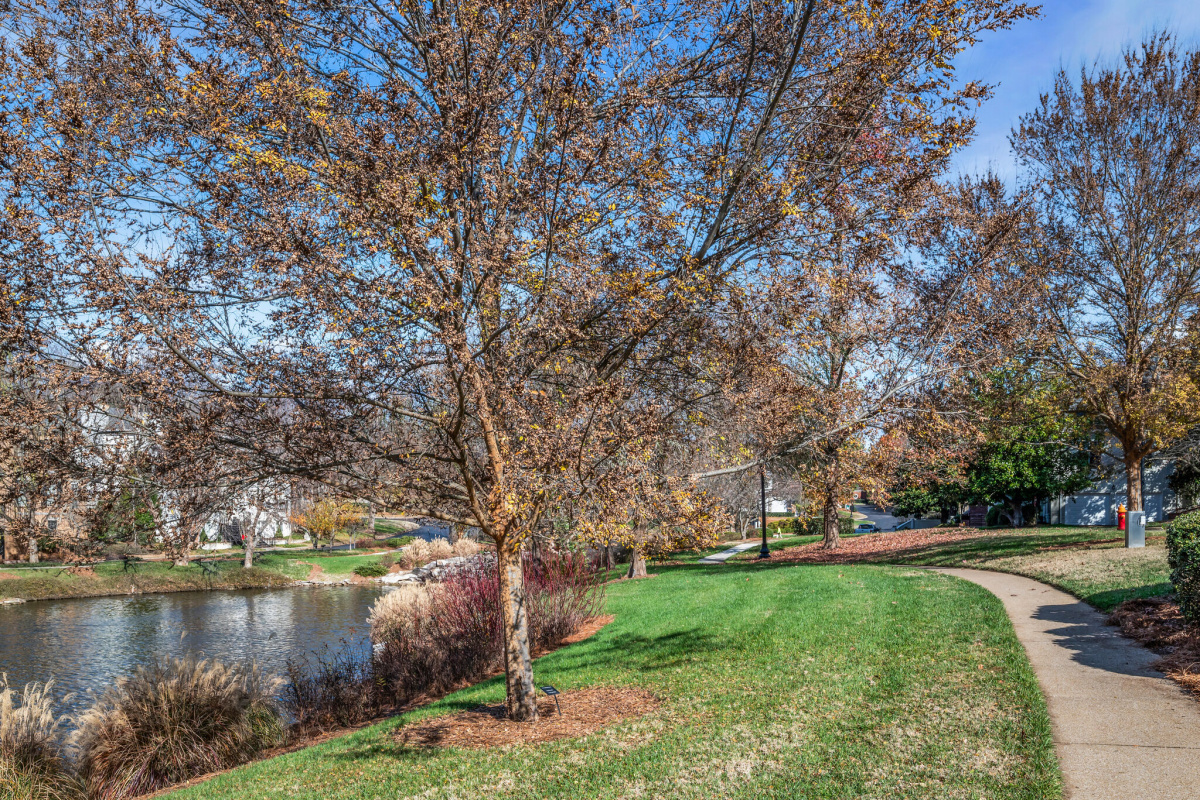 79 Wyn Oak, Tennessee 37205, 3 Bedrooms Bedrooms, ,3 BathroomsBathrooms,Single Family Home,Sold Listings,Wyn Oak,1095